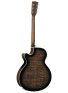 Exotic-SFX Ash (Black Gloss), зображення 2